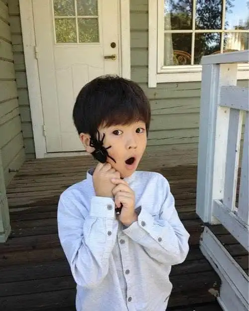 武泽锦熙 zejingxi wu的图片