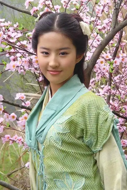 仙剑奇侠传赵灵儿刘亦菲饰