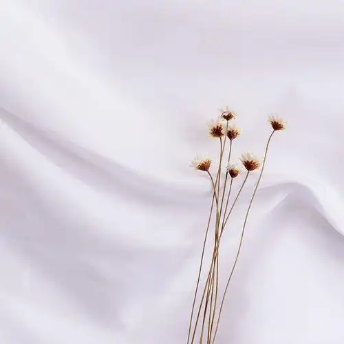 5米包边不脱丝送钉夹|ins风北欧拍照纯色背景布幕布网店拍摄摄影道具