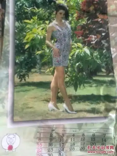 美女挂历10颜丙燕,单张.对开大幅塑膜