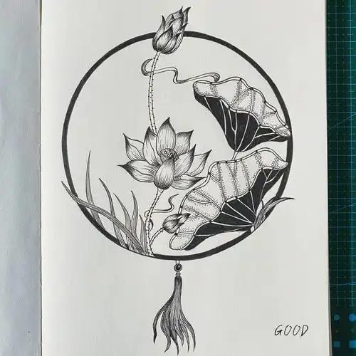 黑白线条画荷花366