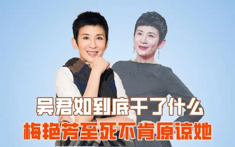 吴君如到底干了什么,梅艳芳至死不肯原谅她_哔哩哔哩_bilibili