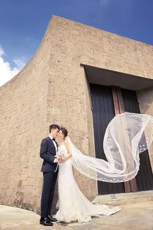 林心如婚纱照穿了一套粉红色多层次的乌干纱礼服,以及三套白纱:一件