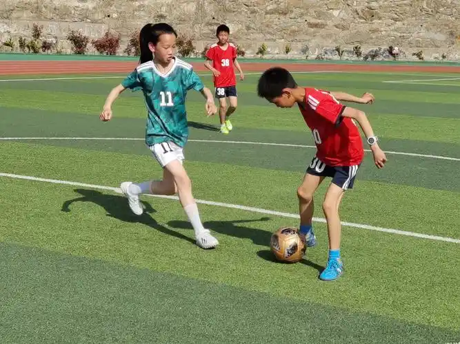 宝丰镇双坝小学:"校园足球"训练忙_云上竹山