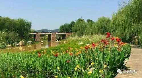 景观学习 | 生态驳岸的设计及应用_大自然