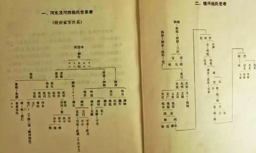 播州杨家世系谱为证:先抗辽再抗金抗元 最后一代