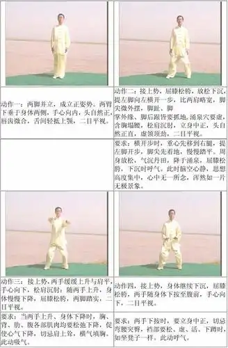 陈氏太极拳精要十八式(2)第二式 金刚捣碓