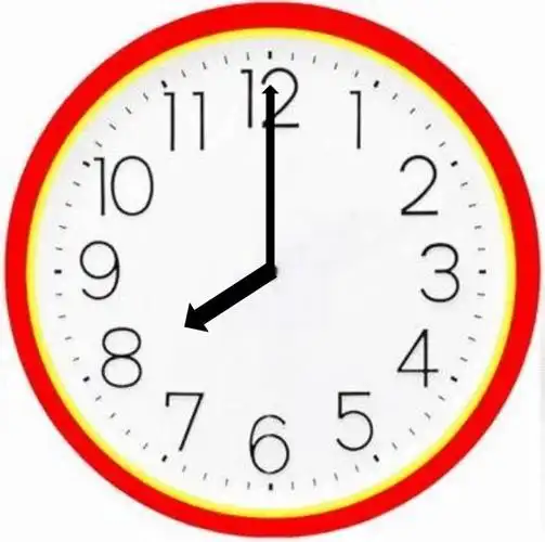 认识钟表(一)整点