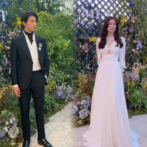 车银优宋慧乔同框照