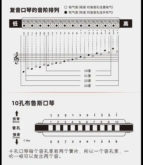 24孔口琴儿童10孔初学者成人复音c调口风琴幼儿园礼物乐器
