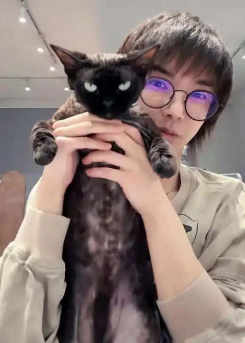 啊啊啊啊啊好可爱两只猫猫93@华晨宇yu