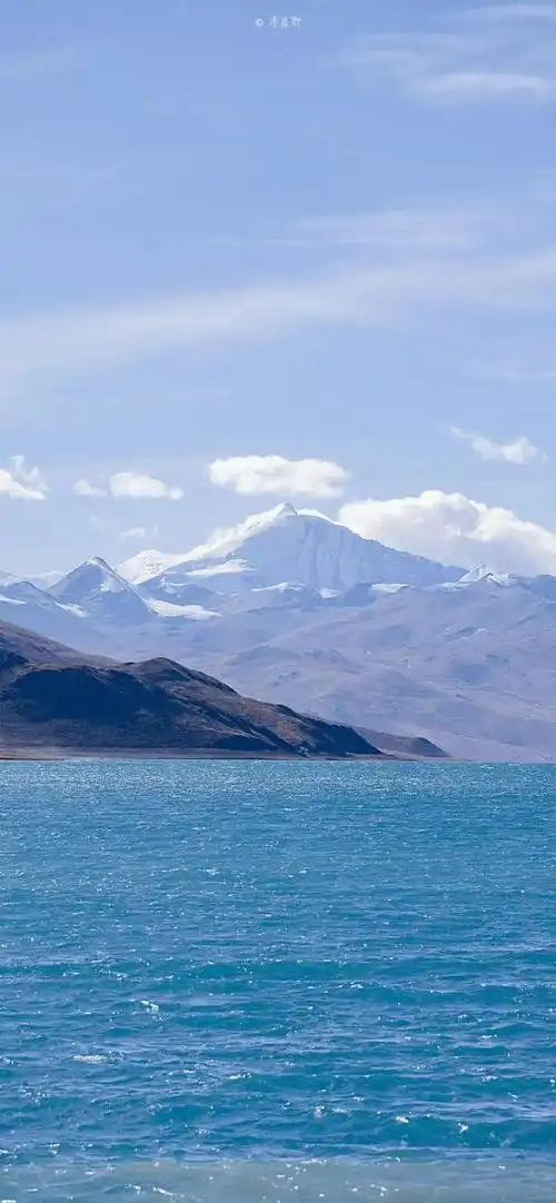 清新又干净的壁纸