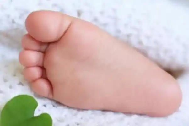 婴儿脚臭是怎么回事啊 婴儿脚臭正常吗