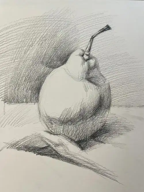 零基础素描干货分享梨的步骤图