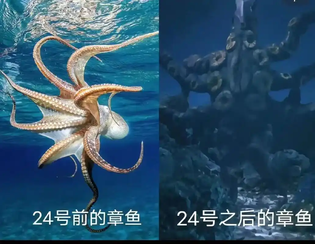 太恐怖了,希望不是真的#日本排核污#核辐射变异动物 #海洋生 - 抖音