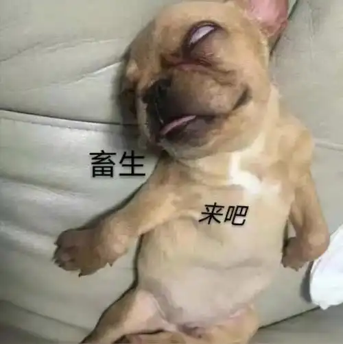 你有哪些超级搞笑的沙雕表情包