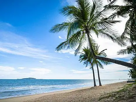 海南省三亚市三亚湾椰梦长廊阳光沙滩椰子树