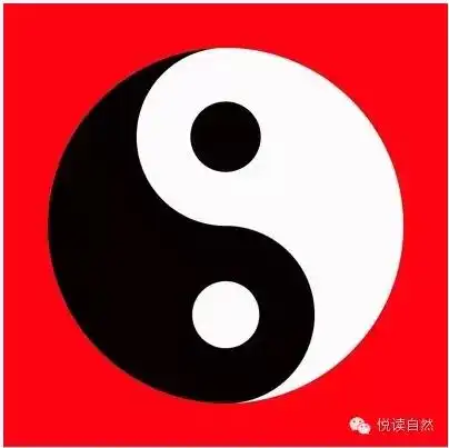 经在咫尺经济学小故事中的自然之道