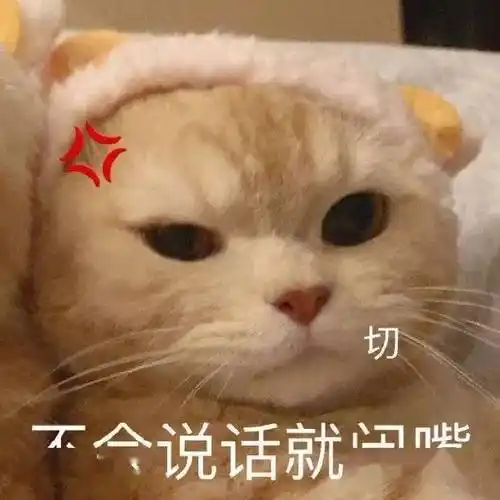 给我闭嘴丨920期喵表情包_侵权_网络_图片
