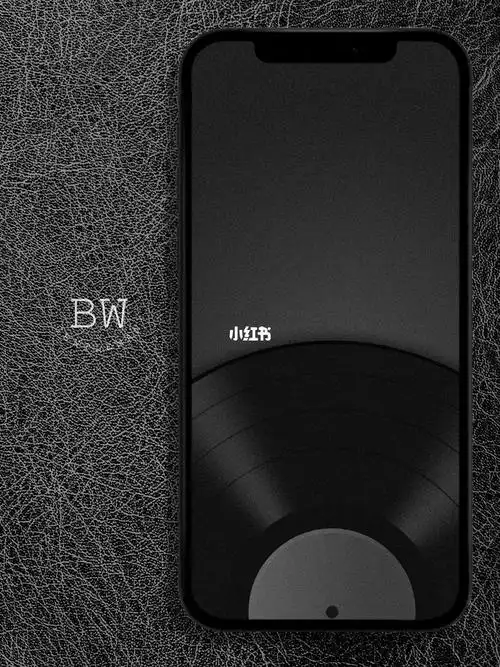 iphone手机壁纸黑白照片之黑胶唱片