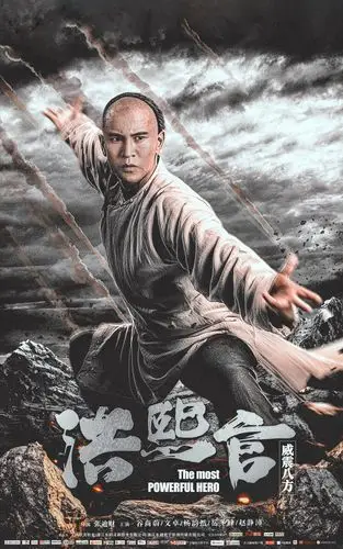 《洪熙官之威震八方》角色海报曝光 武侠风狂圈粉-猫眼电影