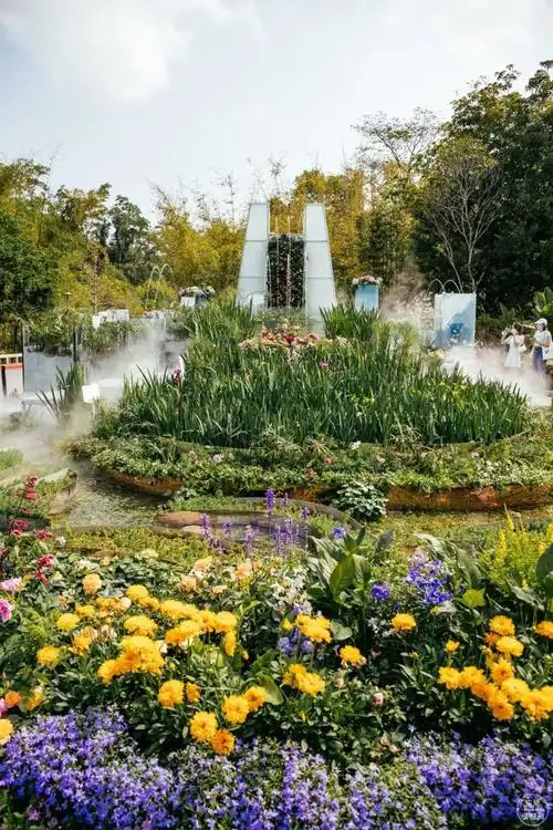 强势回归占地71000m051000花卉2021年深圳最美花展明天正式开放