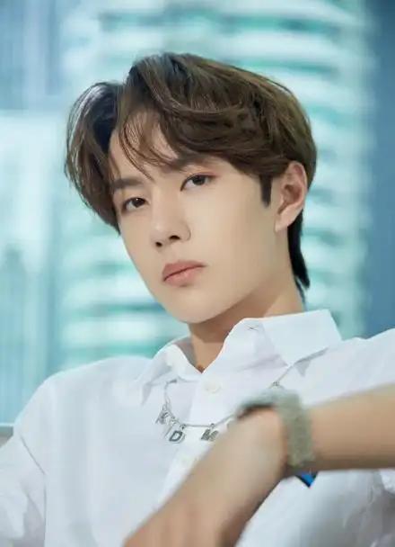 王一博的理想型