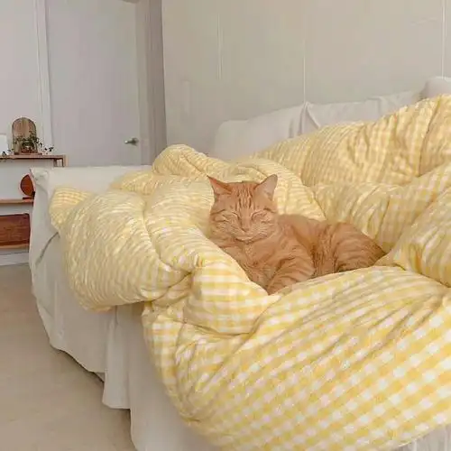 ins风背景图你的浪漫我都想参与