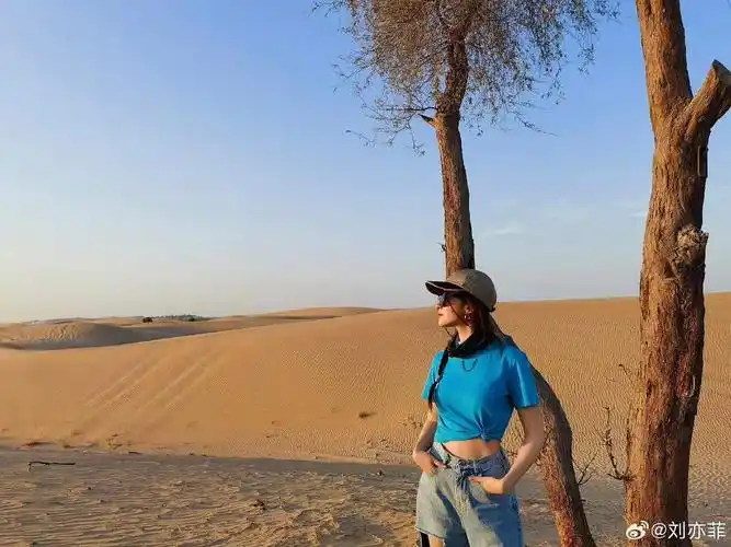 刘亦菲游客照,好米