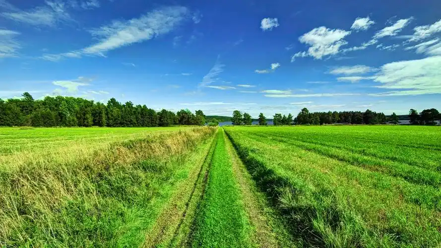 蓝天白云下的农场风光桌面壁纸高清大图预览1920x1080_风景壁纸下载