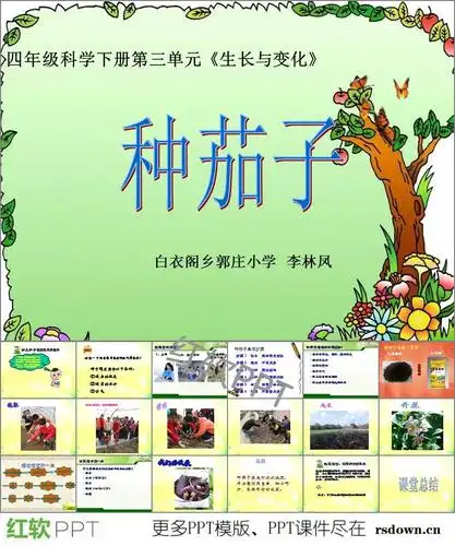 种茄子ppt下载