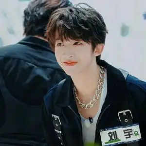 刘宇的鱼丸头像