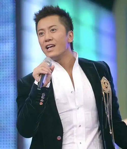 54岁毛宁整容失败,眼凸嘴歪尖下巴,至今无妻无子忙商演|杨钰莹|刘德华