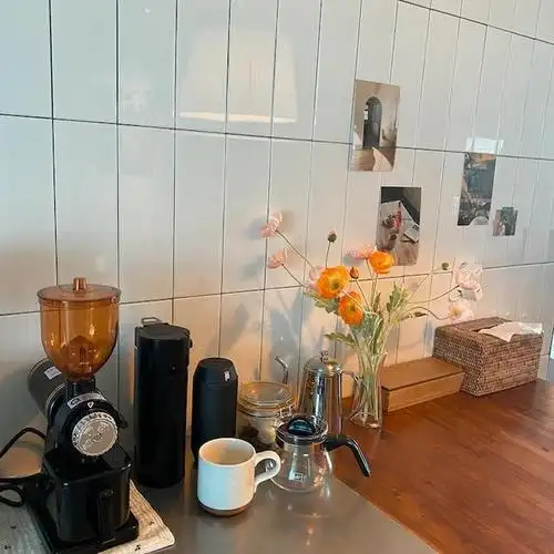 一位51岁的阿姨晒出独居生活照悠闲自在活出很多人羡慕的样子