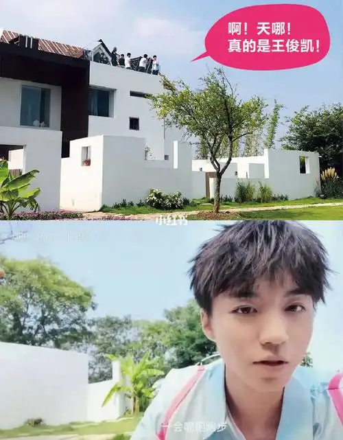 上海迪士尼民宿99打卡王俊凯睡过的房子_民宿_上海迪士尼_度假酒店