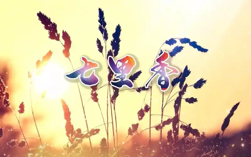 七里香 伴奏版led演唱舞台背景mv视频素材2747