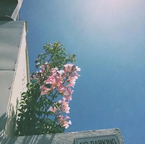 朋友圈背景图-堆糖,美好生活研究所