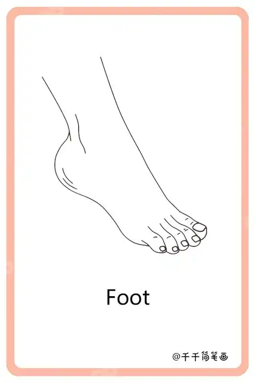 儿童英语词汇认知 脚foot_宝宝英文认知简笔画