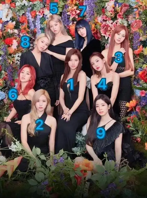kpop女团颜值排名出炉kpop女团个人向颜值排名和你一样吗
