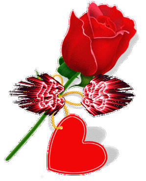 314_389竖版 竖屏gif 动态图 动图