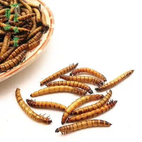 仓鼠粮金银龙鱼零食鹦鹉招财罗汉鱼保鲜面包大麦虫干宠物食物饲料