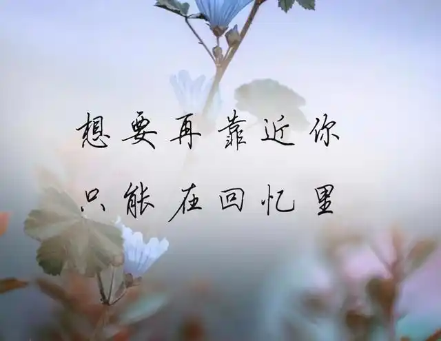 致爱过的你我喜欢现在的自己怀念过去的我们