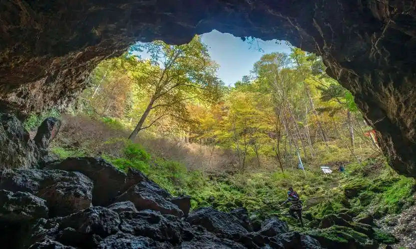 镜泊湖地下森林之秋---2020-9-28