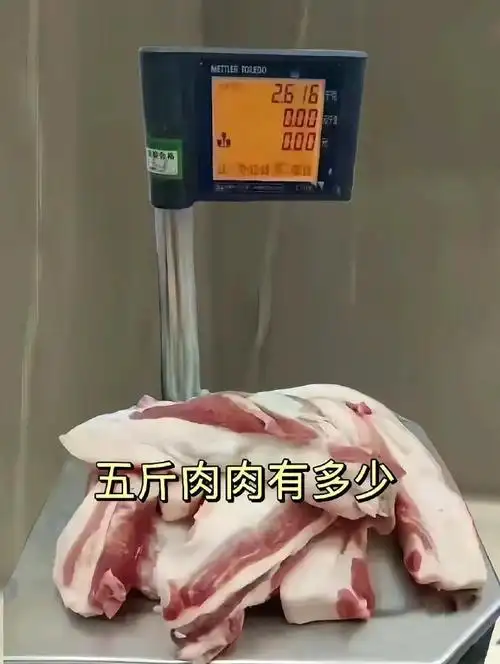 减肥具像化 十斤肉 二十斤肉 三十斤肉