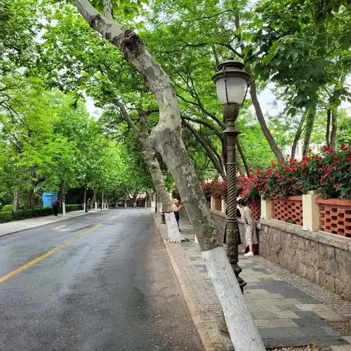 青岛八大关景区是得天独厚的福地