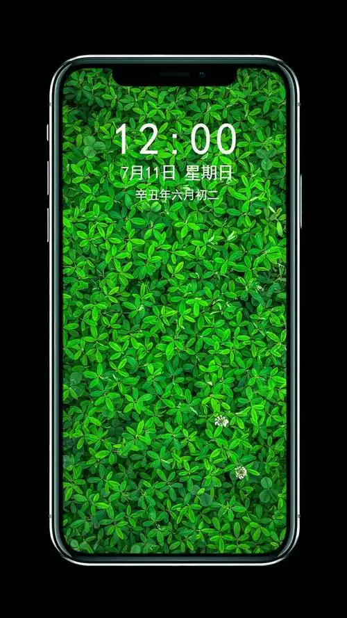 来一波"舒适养眼"的绿色养眼的壁纸,让你放松下吧～,绿色养眼的壁纸