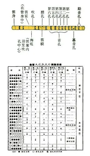 笛子怎么吹1234567指法
