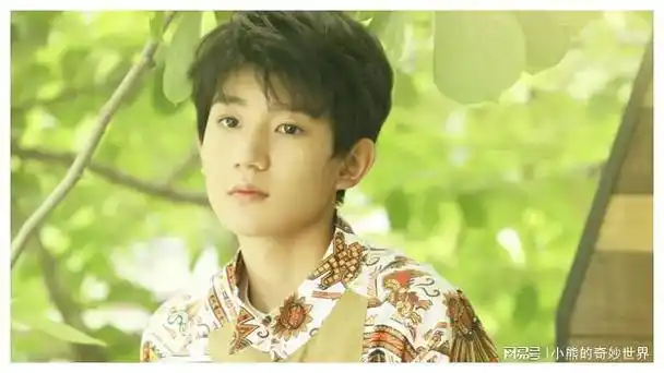 王源音乐梦想家才华与担当并行的璀璨星辰