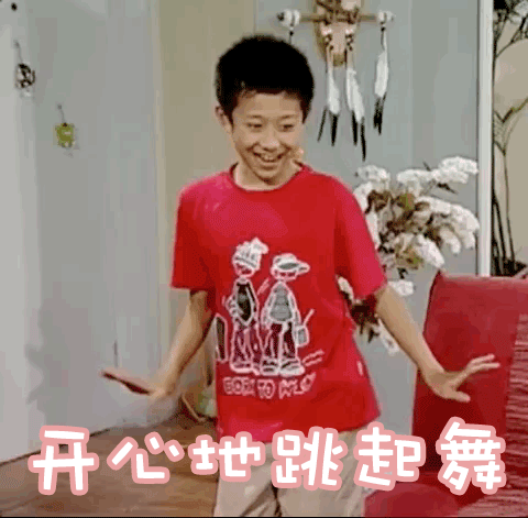 《家有儿女》刘星