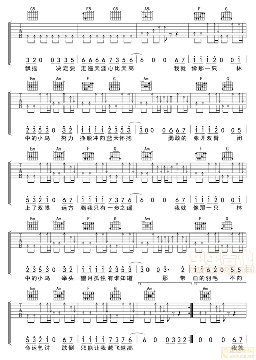 葛林林中鸟吉他谱